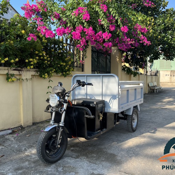 https://www.xedienphucthinh.com/public/product/xe-dien-ba-banh-co-thanh-tai-500kg