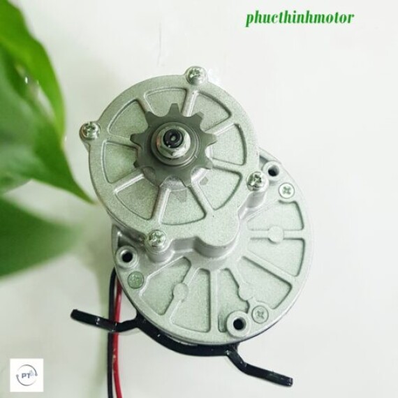 https://www.xedienphucthinh.com/public/product/dong-co-24v-350w-giam-toc