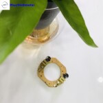 Giá đỡ chổi than động cơ motor 48v
