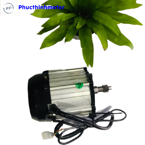 https://www.xedienphucthinh.com/public/product/bo-dong-co-48v60v-1500w